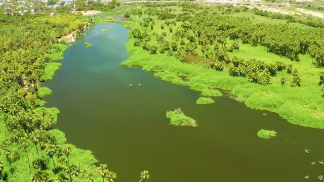 SAN JOSE DEL CABO ESTUARY BCS MEXICO-2021: Winding River Surrounded by Dense Vegetation