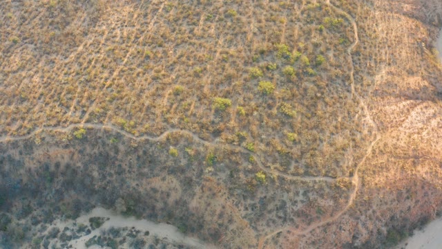 CABO PULMO BCS MEXICO-2021: Dry Grassland with Scattered Shrubs and River