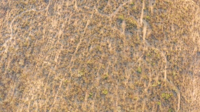 CABO PULMO BCS MEXICO-2021: Wetland Water Channels and Vegetation Patches