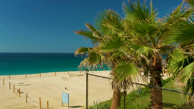 HILTON LOS CABOS MEXICO-2021: Panning Beach Scene with Palm Trees and Ocean