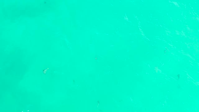 HILTON LOS CABOS MEXICO-2021: Small Fish Swimming in Clear Turquoise Water