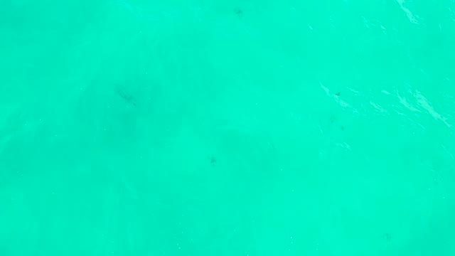 HILTON LOS CABOS MEXICO-2021: Small Fish Swimming in Clear Turquoise Ocean Water