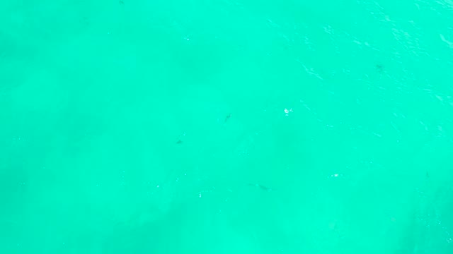 HILTON LOS CABOS MEXICO-2021: Clear Turquoise Water with Small Fish Swimming