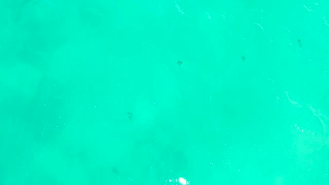 HILTON LOS CABOS MEXICO-2021: Small Fish Swimming in Clear Turquoise Ocean Water