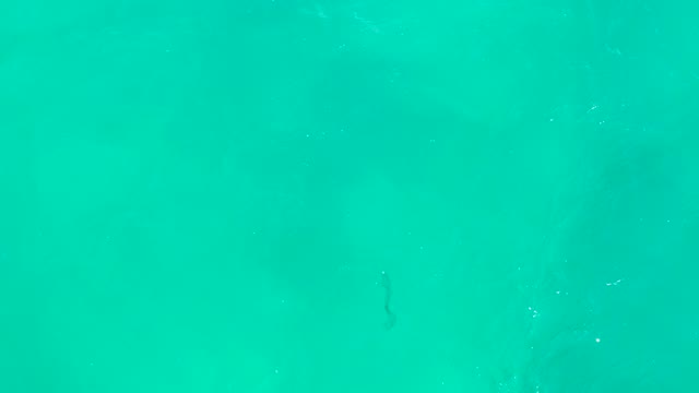 HILTON LOS CABOS MEXICO-2021: Snorkeler in Clear Turquoise Ocean Water
