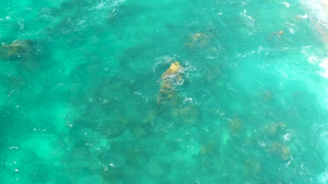 HILTON LOS CABOS MEXICO-2021: Bird Splashing in Clear Turquoise Water over Submerged Rocks