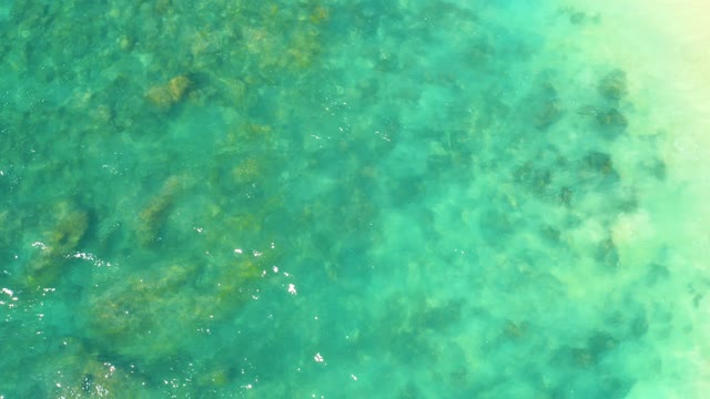 HILTON LOS CABOS MEXICO-2021: Shallow Clear Water Over Rocky Seabed