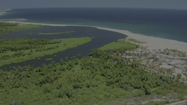 SAN JOSE DEL CABO BCS MEXICO-2021: Coastal Lagoon and Sandy Shore with Mangroves