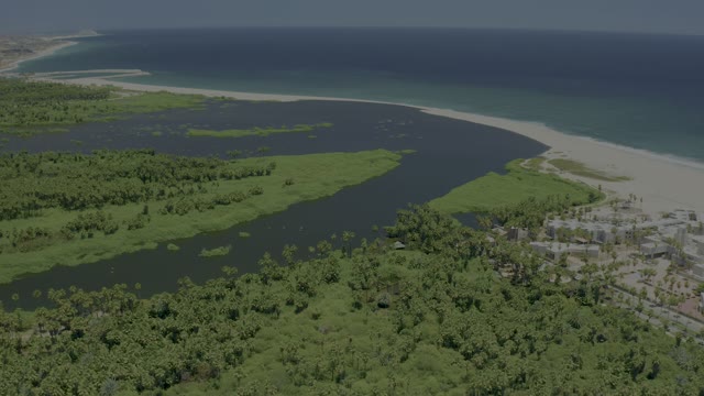 SAN JOSE DEL CABO BCS MEXICO-2021: Mangrove River Flowing Into Ocean Coastline