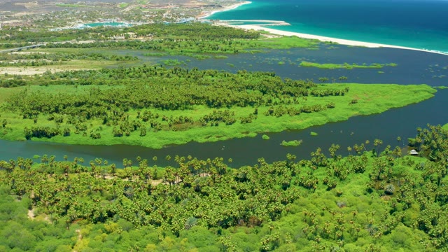 SAN JOSE DEL CABO BCS MEXICO-2021: River Meandering Through Lush Coastal Wetland and Beach
