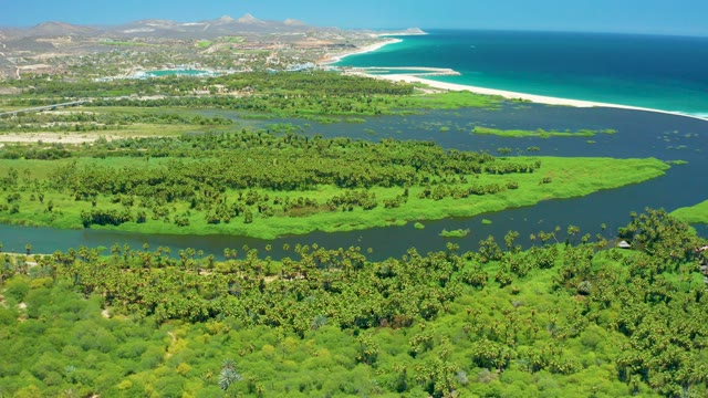 SAN JOSE DEL CABO BCS MEXICO-2021: River Estuary, Coastal Wetlands, and Sandy Beach