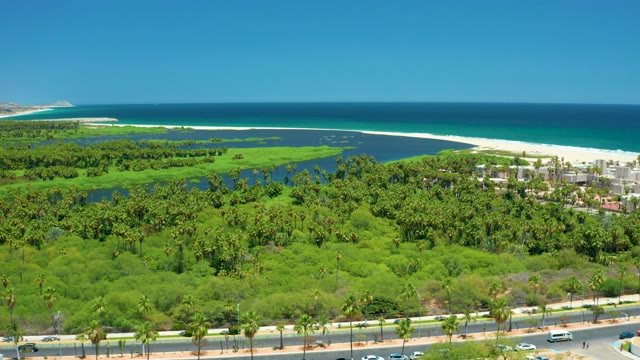 SAN JOSE DEL CABO BCS MEXICO-2021: Coastal Road with Moving Vehicles and Lush Greenery