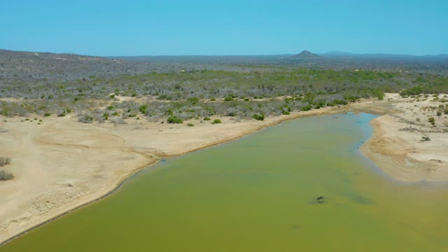 LA LAGUNA BEACH LOS CABOS MEXICO-2021: Green River Winding Through Arid Terrain