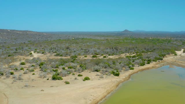 LA LAGUNA BEACH LOS CABOS MEXICO-2021: Arid Landscape with Shallow Water and Sparse Vegetation