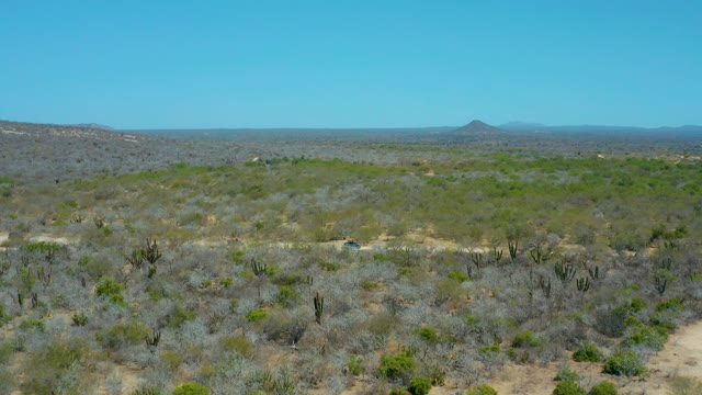 LA LAGUNA BEACH LOS CABOS MEXICO-2021: Vehicle Moving Along Desert Dirt Road with Cacti