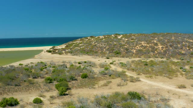 LA LAGUNA BEACH LOS CABOS MEXICO-2021: Coastal Dunes with Sandy Beach and Dry Vegetation