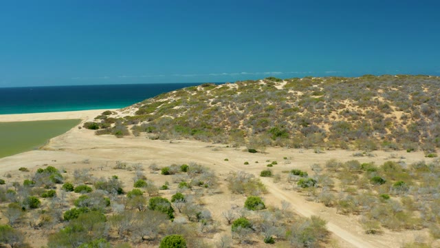 LA LAGUNA BEACH LOS CABOS MEXICO-2021: Coastal Dunes and Sandy Shore From Above