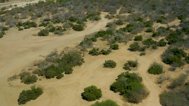 LA LAGUNA BEACH LOS CABOS MEXICO-2021: Desert with Sparse Green Bushes From Above