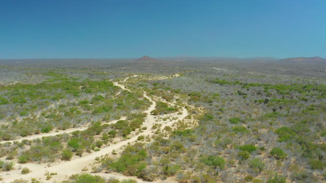 LA LAGUNA BEACH LOS CABOS MEXICO-2021: Winding Dirt Road Through Arid Bushland