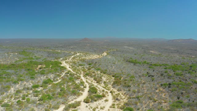 LA LAGUNA BEACH LOS CABOS MEXICO-2021: Winding Dirt Path Through Arid Bushland