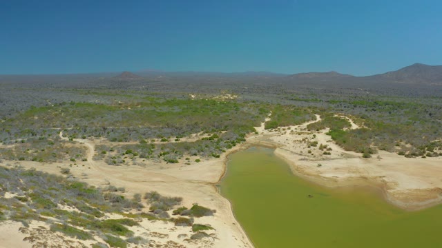 LA LAGUNA BEACH LOS CABOS MEXICO-2021: Sandy Desert with Green Waterhole and Sparse Bushes
