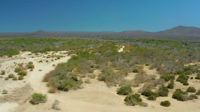 LA LAGUNA BEACH LOS CABOS MEXICO-2021: Arid Desert with Sparse Bushes and Distant Mountains