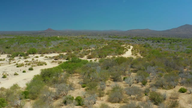 LA LAGUNA BEACH LOS CABOS MEXICO-2021: Winding Dirt Path Through Arid Desert with Scattered Trees