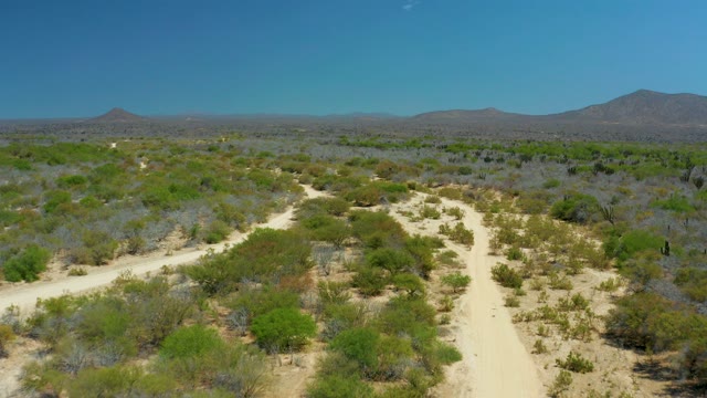 LA LAGUNA BEACH LOS CABOS MEXICO-2021: Winding Dirt Roads in Arid Bushland