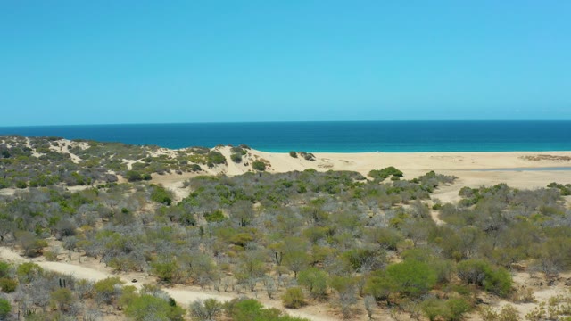 LA LAGUNA BEACH LOS CABOS MEXICO-2021: Coastal Dunes and Ocean with Sparse Vegetation