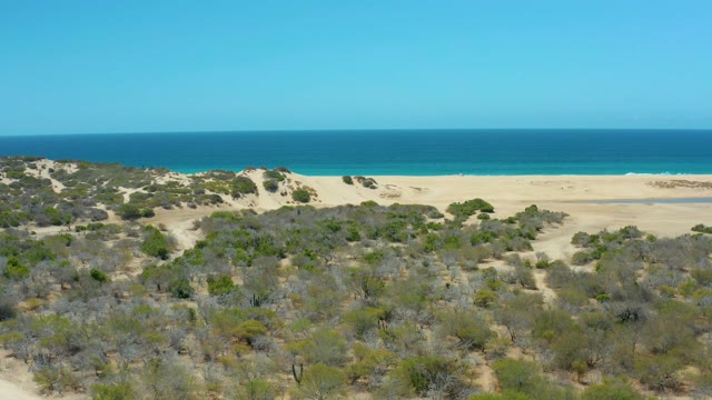 LA LAGUNA BEACH LOS CABOS MEXICO-2021: Coastal Dunes and Sparse Vegetation by the Ocean