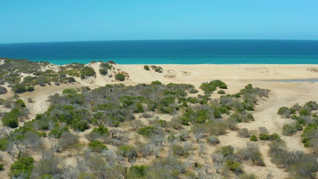 LA LAGUNA BEACH LOS CABOS MEXICO-2021: Sandy Dunes and Coastal Vegetation by the Ocean