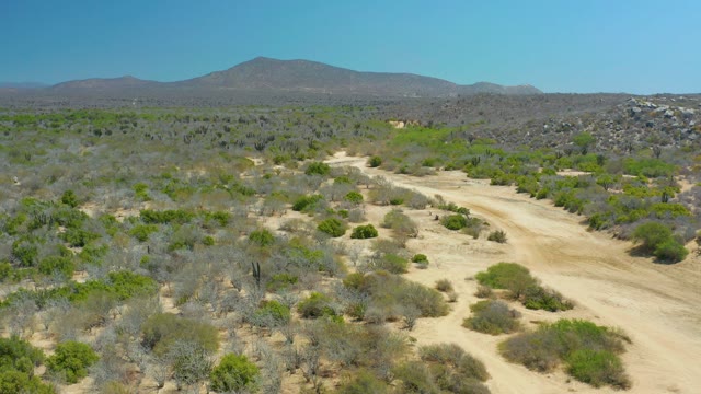 LA LAGUNA BEACH LOS CABOS MEXICO-2021: Vehicle Traveling on Desert Dirt Road