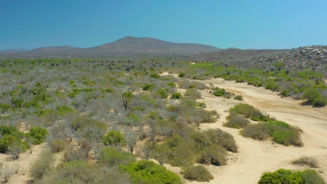 LA LAGUNA BEACH LOS CABOS MEXICO-2021: Desert Shrubland with Sandy Paths and Distant Mountains