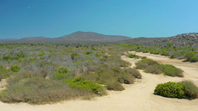 LA LAGUNA BEACH LOS CABOS MEXICO-2021: A Vehicle Travels Along a Sandy Desert Path with Low-lying Shrubs