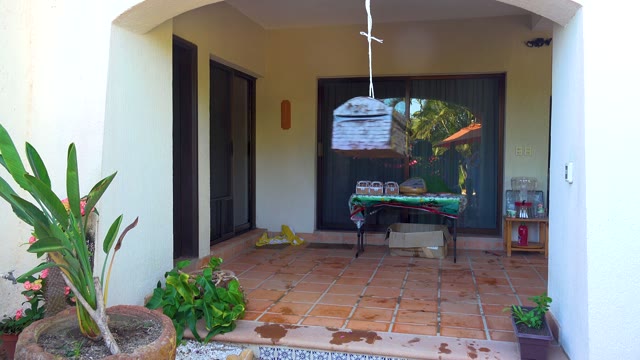 SAN JOSE DEL CABO BCS MEXICO-2020: Child Hitting Piñata on Outdoor Patio