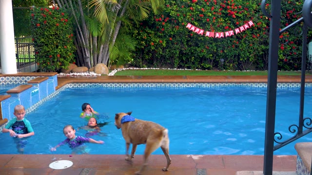 SAN JOSE DEL CABO BCS MEXICO-2020: Children Swimming in Pool with Dog and Birthday Banner