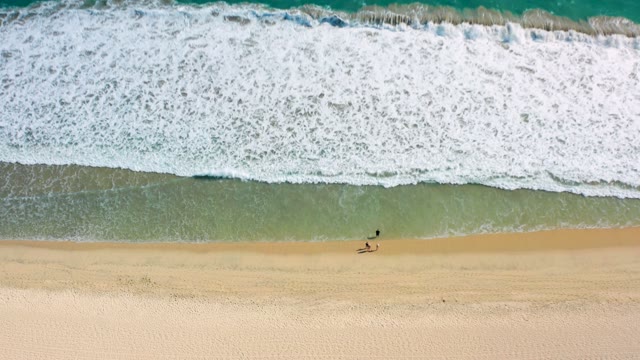 SAN JOSE DEL CABO MEXICO-2020: Ocean Waves Rolling Toward Sandy Beach with Swimmers