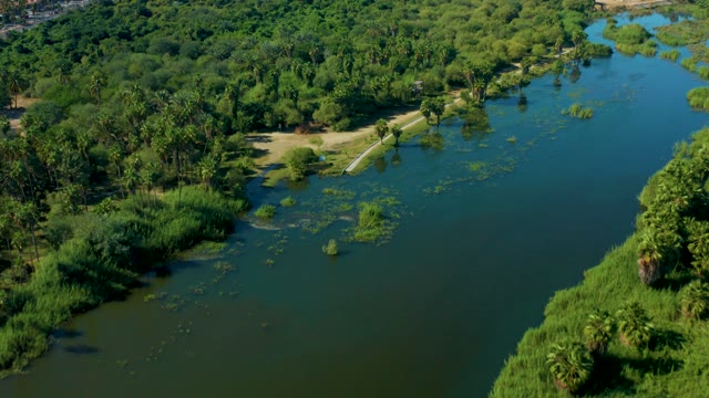 SAN JOSE DEL CABO MEXICO-2020: Riverbank Lined with Lush Greenery and Water Plants