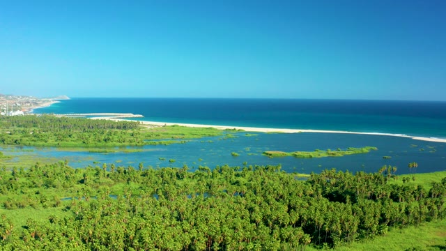 SAN JOSE DEL CABO MEXICO-2020: Lagoon Flowing Into Ocean with Mangrove Shoreline
