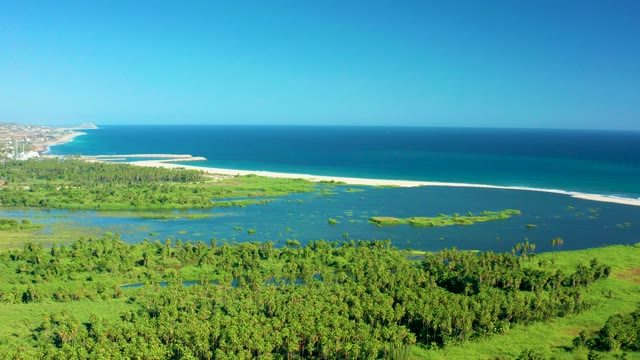 SAN JOSE DEL CABO MEXICO-2020: Coastal Lagoon and Sandy Shore with Greenery