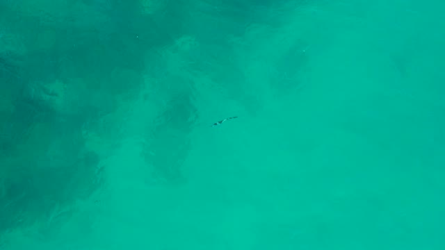 SAN JOSE DEL CABO BCS MEXICO-2020: Small Watercraft Navigating Turquoise Ocean Shallows