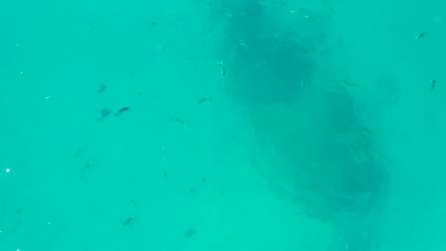 SAN JOSE DEL CABO BCS MEXICO-2020: Submerged Structure with Swimming Fish in Clear Water