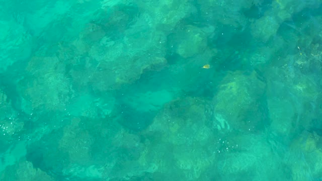 SAN JOSE DEL CABO BCS MEXICO-2020: Clear Turquoise Water Over Rocky Seabed with Small Fish