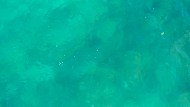 SAN JOSE DEL CABO BCS MEXICO-2020: Clear Turquoise Water Over Rocky Seabed