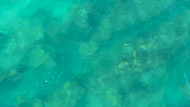 SAN JOSE DEL CABO BCS MEXICO-2020: Clear Turquoise Water with Small Fish and Rocky Seabed