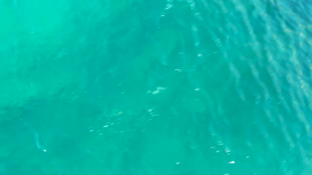 SAN JOSE DEL CABO BCS MEXICO-2020: Clear Turquoise Water Over Rocky Seabed with Swimming Fish