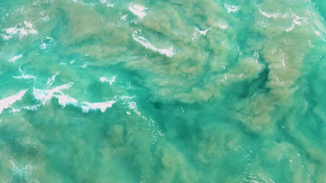 SAN JOSE DEL CABO BCS MEXICO-2020: Ocean Surface with Turquoise Water and Moving Algae Patches