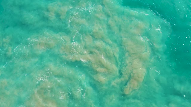 SAN JOSE DEL CABO BCS MEXICO-2020: Shifting Sand and Coral in Clear Turquoise Water