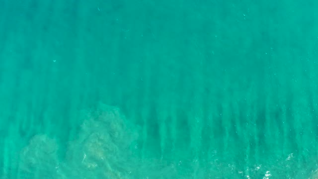 SAN JOSE DEL CABO BCS MEXICO-2020: Clear Turquoise Water with Underwater Vegetation and Gentle Wave Motion
