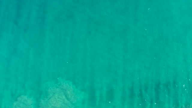 SAN JOSE DEL CABO BCS MEXICO-2020: Underwater Seaweed and Rocky Seabed in Clear Turquoise Water